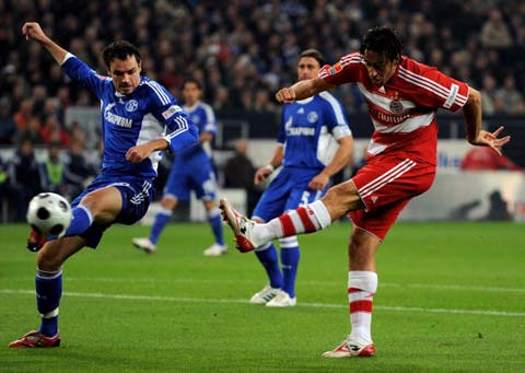 杨文龙成功 杨文龙成功